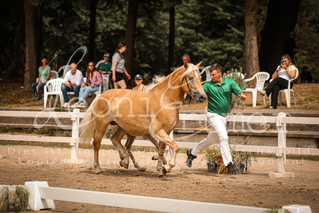 06.So00061 | Leoni Ertmer Photography - Realisiert mit Pictrs.com