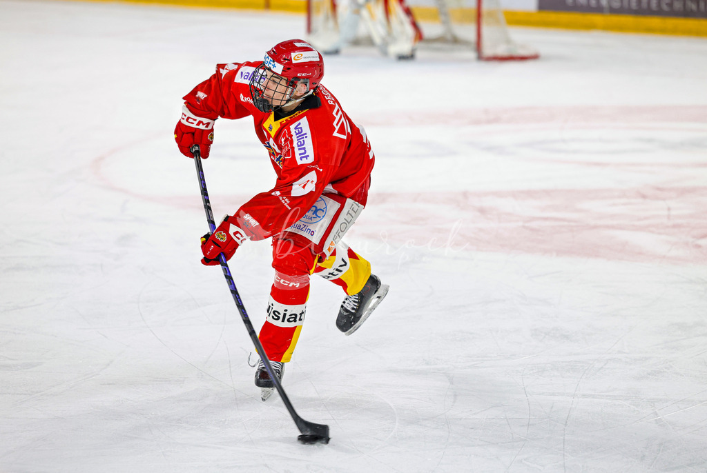 EHCB vs HCD-0398 | Sportbilder, Sportfotograf, Hochzeits- und Eventfotografin, Flugshows, Portraits und Tiershooting, Aviation, Downhill, Nationalleague, Swissleague, International