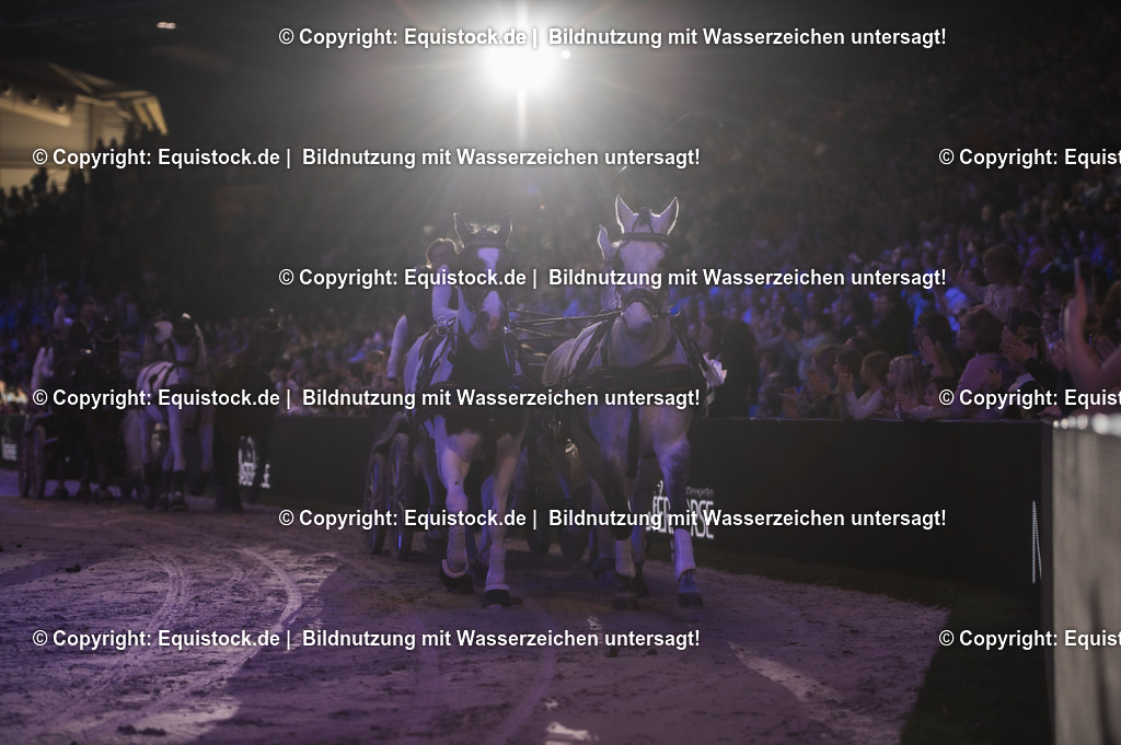 20241116_Fahren-Masterhorse_TOMsPiC_0412 | Foto: Thomas Hartig