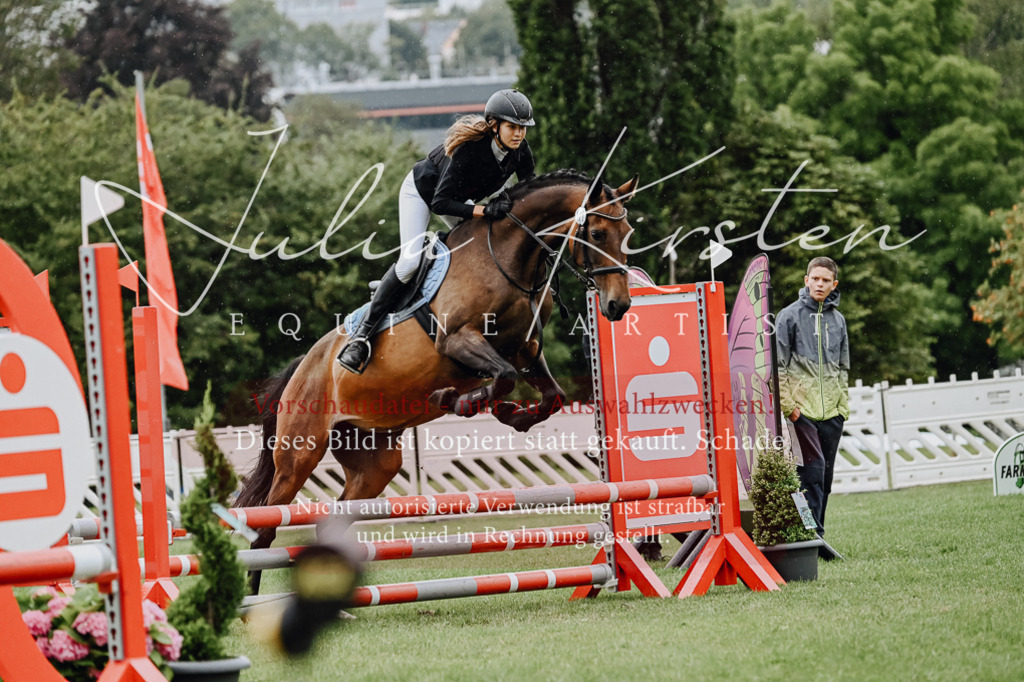 DSC_6950 | Pferde- und Turnierfotografie in Westsachsen. Pferdeportraits, Auftragszeichnungen und intuitive Kunst.