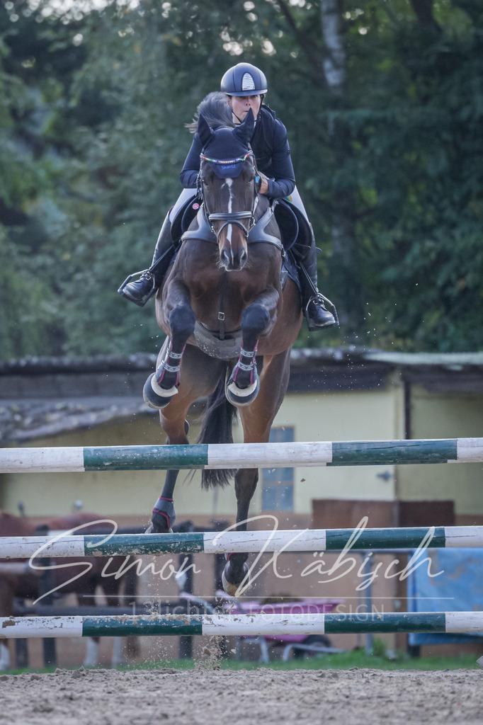 20251012-_3LI5654 | Tierfotografie Pferde, Hunde, Katzen, Haustiere.
Turnierfotografie Reitturniere, Reiten, Springreiten, Dressur in Hanau, dem Main-Kinzig-Kreis und dem Rhein-Main- Gebiet um Frankfurt