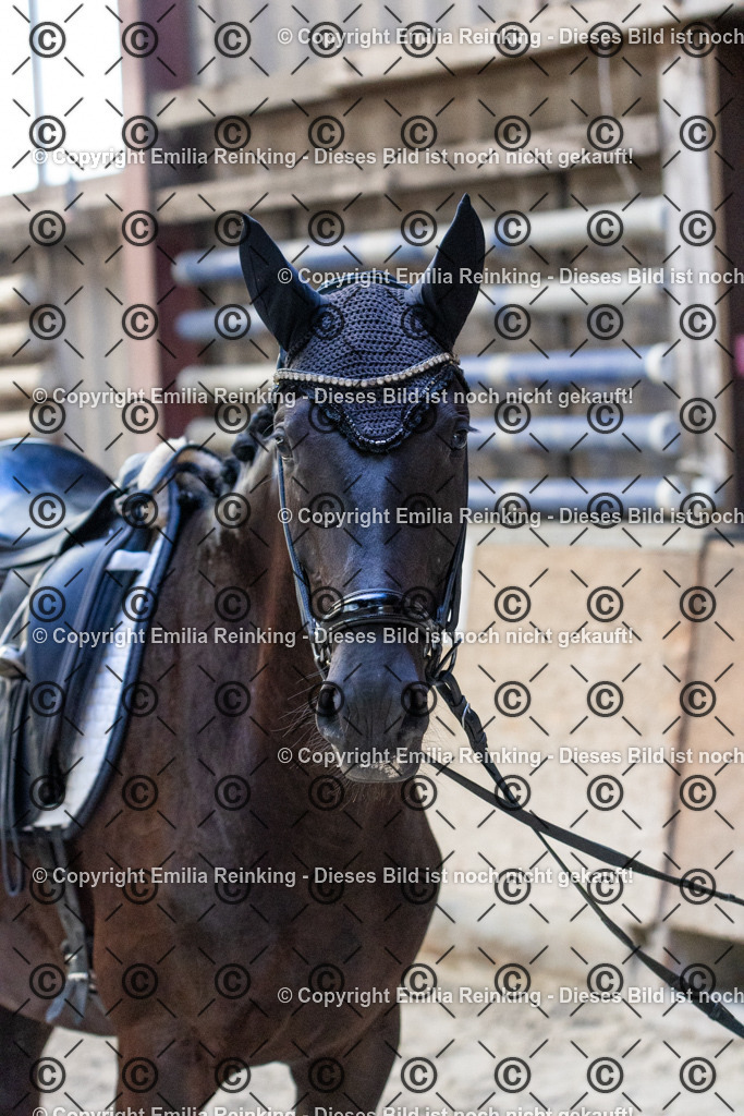 CL5A0237 | Emilia Reinking Fotografie - Realisiert mit Pictrs.com