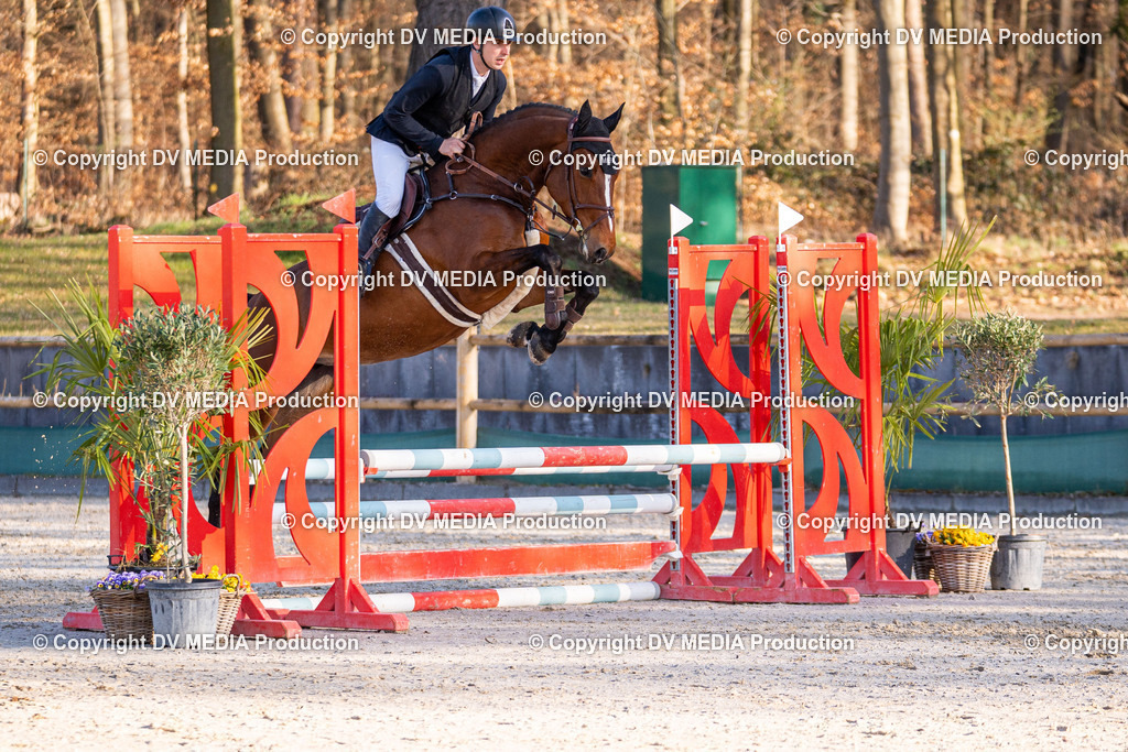 Kranichstein Tag 1-012 | dv-media-shop - Realisiert mit Pictrs.com