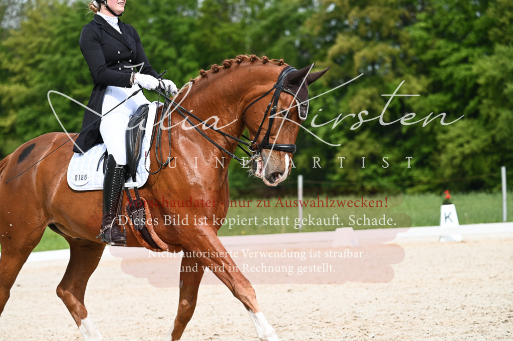 20230513_JK-Röhrsdorf-12-354 | Pferde- und Turnierfotografie in Westsachsen. Pferdeportraits, Auftragszeichnungen und intuitive Kunst.