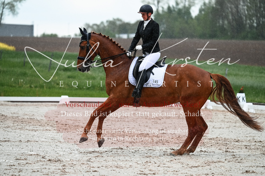 DSC_4441 | Pferde- und Turnierfotografie in Westsachsen. Pferdeportraits, Auftragszeichnungen und intuitive Kunst.