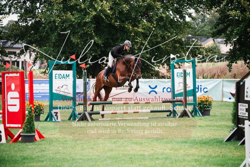 DSC_5814 | Pferde- und Turnierfotografie in Westsachsen. Pferdeportraits, Auftragszeichnungen und intuitive Kunst.
