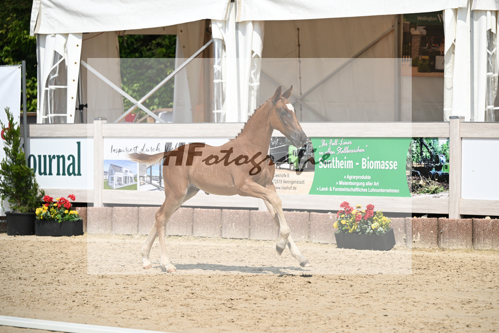 Arezzo Man x Celentano_HF_Moldvai_12250442 | hf-fotografie - Realisiert mit Pictrs.com