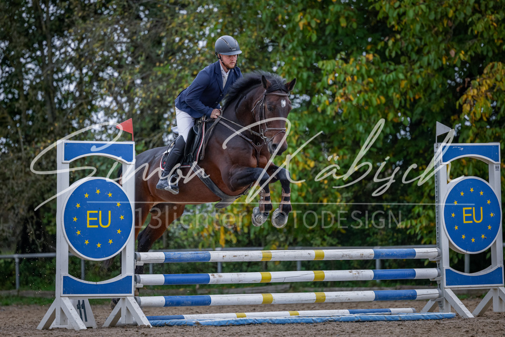 20251012-_3LI4130 | Tierfotografie Pferde, Hunde, Katzen, Haustiere.
Turnierfotografie Reitturniere, Reiten, Springreiten, Dressur in Hanau, dem Main-Kinzig-Kreis und dem Rhein-Main- Gebiet um Frankfurt
