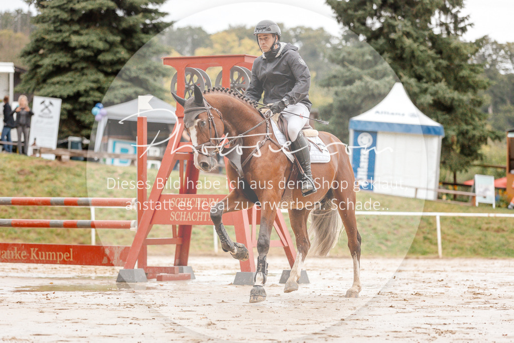 3I6A5505 | Stimmungsvolle Portraits und Reitsportfotografie im Ruhrgebiet und im Münsterland.

Pferdefotografie, Hundefotografie, Tierfotografie, Reportagen, Portraits von Tier und Mensch, Turnierfotografie in Bochum, Recklinghausen, Marl, Haltern am See, Dülmen.. - Realisiert mit Pictrs.com