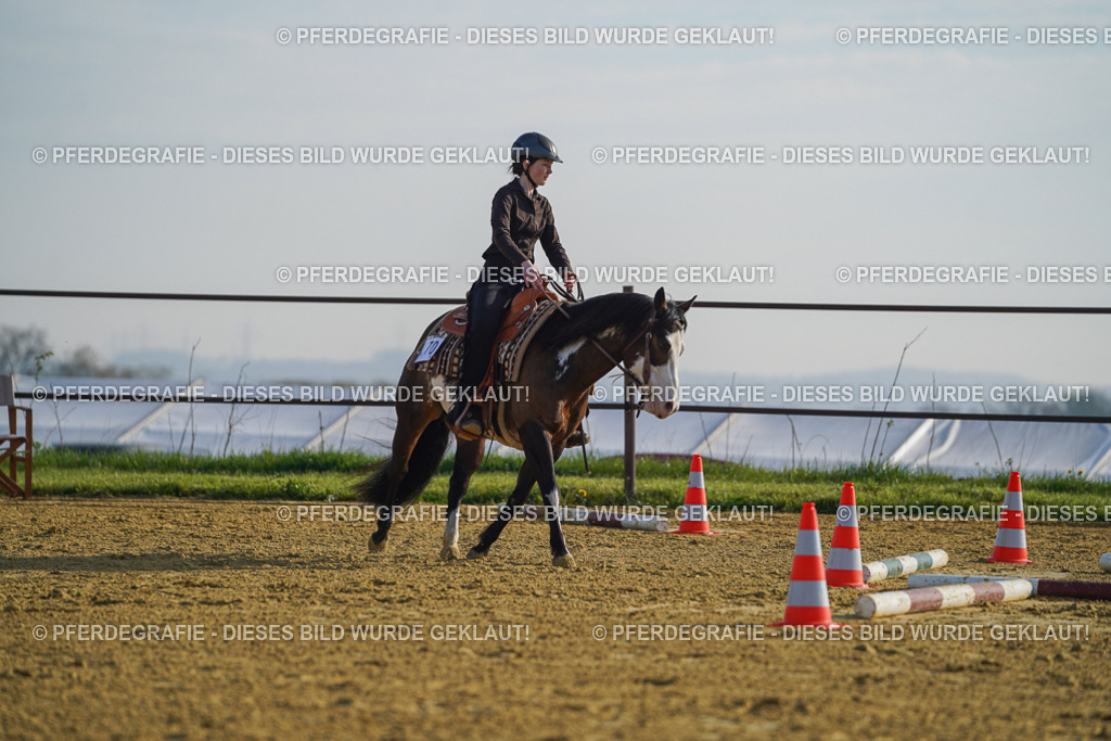 DSC00740 | Pferdegrafie