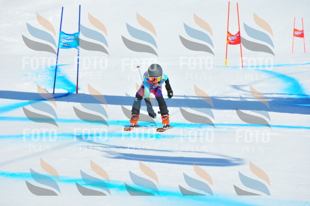 DSC_0999 | holidayphoto