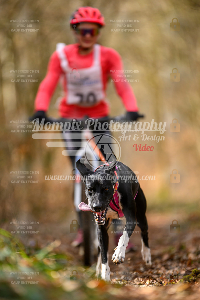 MompixPhotography_ReiatRennen2024_SO_DS1-17 | PayLife