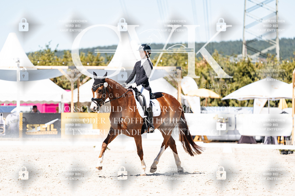 CK900482 | Turnierfotografie Pferdefotografie Trier Rheinland-Pfalz Pferdesport Reitsport Tierfotografie Sportfotografie Pferdevideo Pferdevideografie Equestrianvideography equestrianphotography  - Realisiert mit Pictrs.com