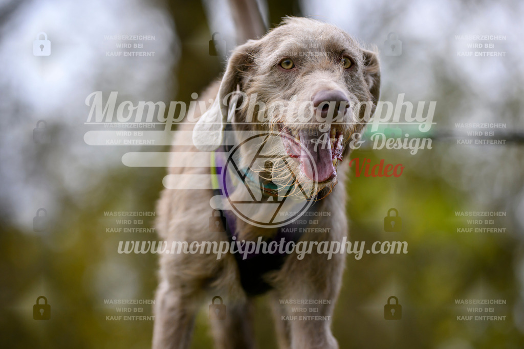 MompixPhotography_2OATB_SO_Run-70 | PayLife