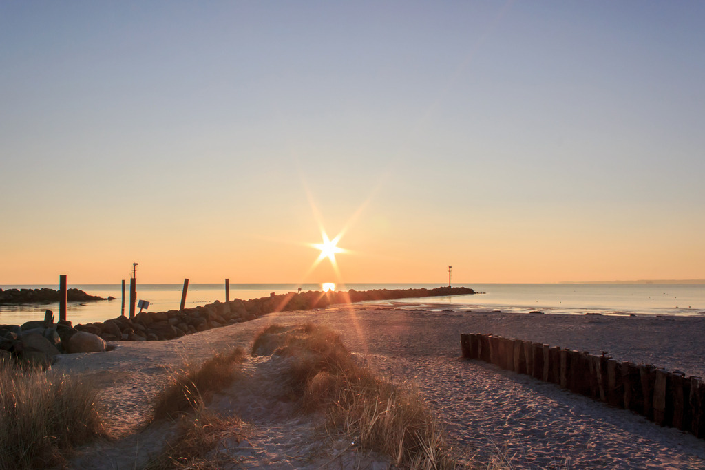 Wandbild: Sonnenaufgang an der Ostsee in Damp | Dieses Wandbild im Querformat zeigt einen malerischen Sonnenaufgang an der Ostsee in Damp. Die Sonne zeigt sich an diesem Morgen als Stern am Horizont. Die Sonnenstrahlen sind gut zu erkennen und ragen bis an den Sandstrand. Im Vordergrund ist Strandgras am Strand zu sehen. - Realisiert mit Pictrs.com