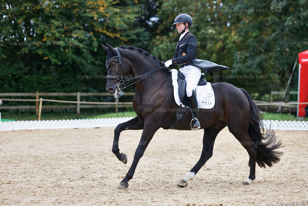 12-229-DRESSUR  S___  -StoibPH-5335 | working equitationturnier fotograf videograf stoibphotography marixx film working equitation deutschland reitsport turnierfotografie eventfotografie equestrian events