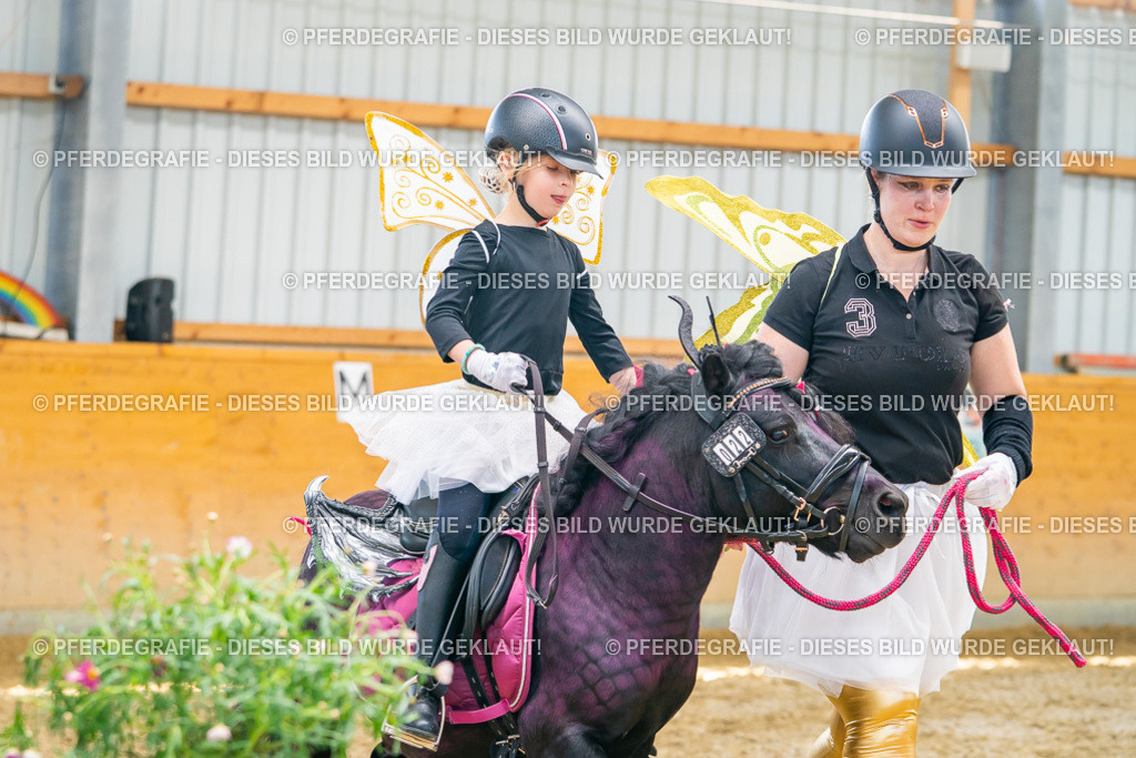 DSC09933 | Pferdegrafie