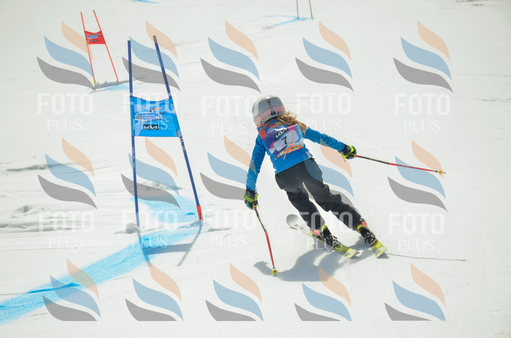 _ELE4497 | holidayphoto