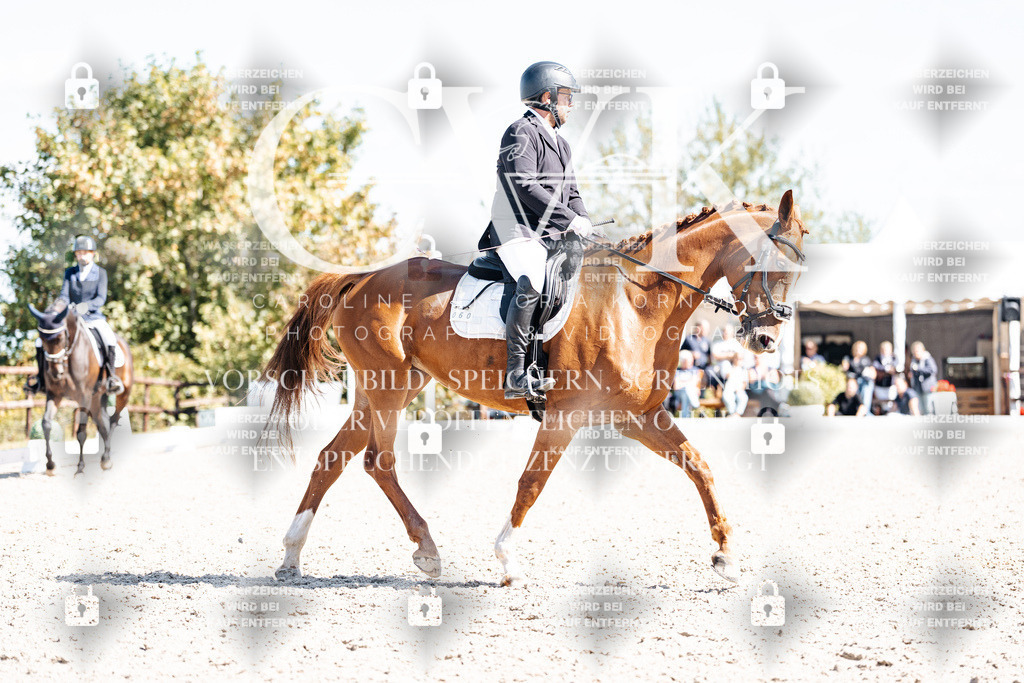 CK903307 | Turnierfotografie Pferdefotografie Trier Rheinland-Pfalz Pferdesport Reitsport Tierfotografie Sportfotografie Pferdevideo Pferdevideografie Equestrianvideography equestrianphotography  - Realisiert mit Pictrs.com
