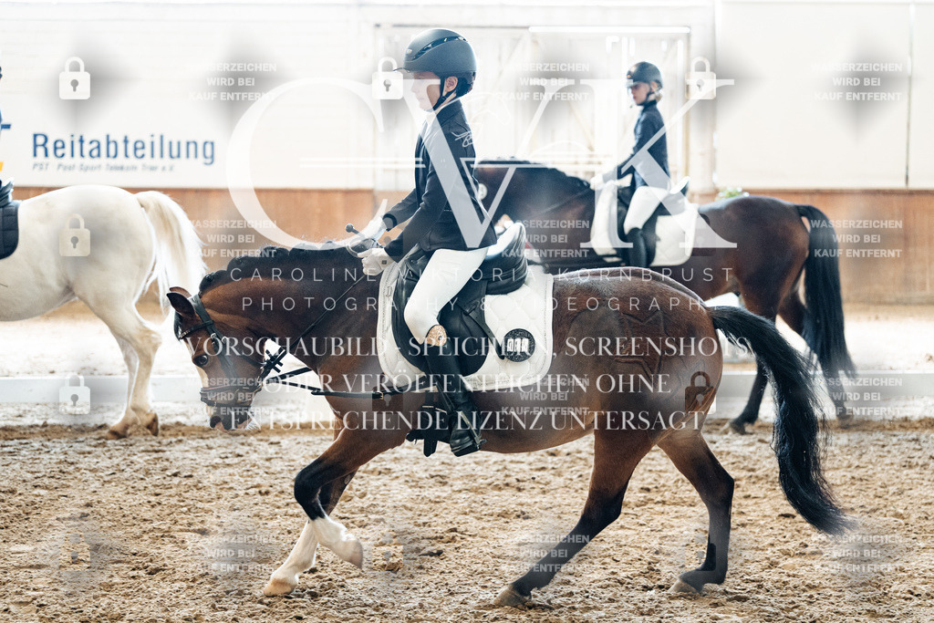 CK900548 | Turnierfotografie Pferdefotografie Trier Rheinland-Pfalz Pferdesport Reitsport Tierfotografie Sportfotografie Pferdevideo Pferdevideografie Equestrianvideography equestrianphotography  - Realized with Pictrs.com