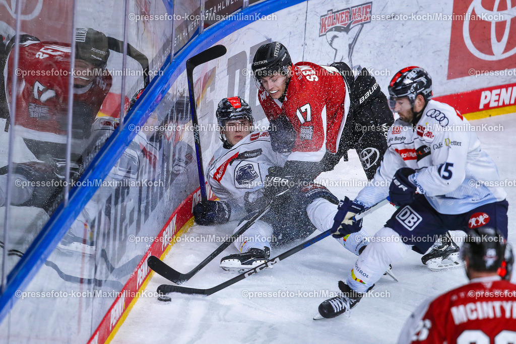 KoeDEL13032401036 | 13.03.2024, Köln, Eishockey, Penny DEL, Pre-Playoffs Spieltag 2, Lanxess-Arena, Kölner Haie - ERC Ingolstadt: Philipp Krauß (ERC Ingolstadt) kämpft gegen Jan Luca Sennhenn (Kölner Haie) um den Puck