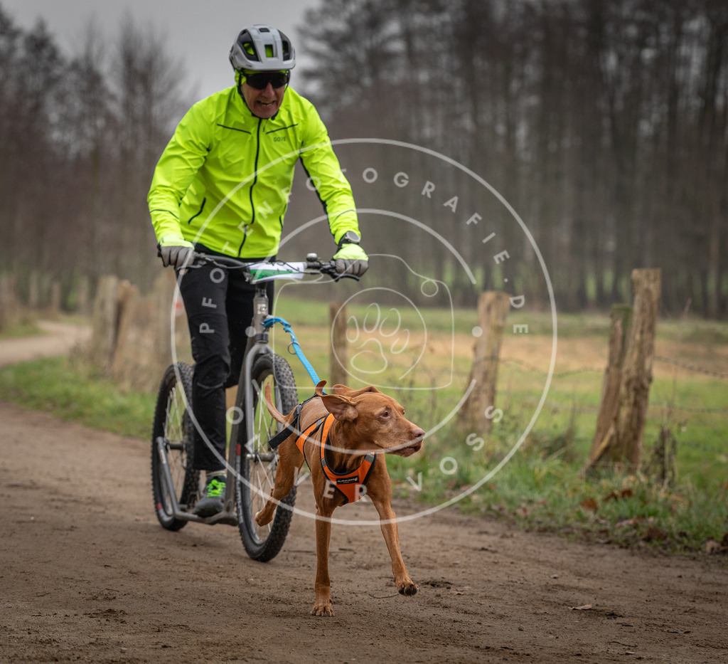 Pfotenfotografie_DV3A2663 | Hundefotografie, Tierfotograf, Pfotenfotografie, Fotoshooting Hund, Hunde Portrait, Hundesport, Hundeportraits, Heideshooting, Hunde, Sportfotograf, Hundefotograf, Turnierhundsport, THS,  - Realisiert mit Pictrs.com