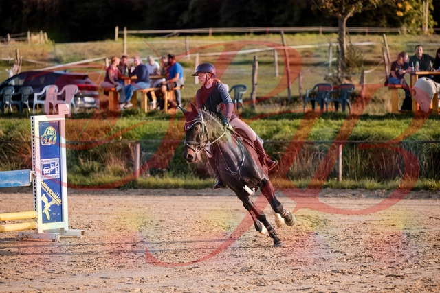 2026_10_03_Siefer-Hof_171535_Z81_12888427 | Professionelle Reitsport-, Turnier- und Eventfotografie von Robert Broda. Galerien mit ausgewählten und bearbeiteten Bildern direkt online ansehen und bestellen.