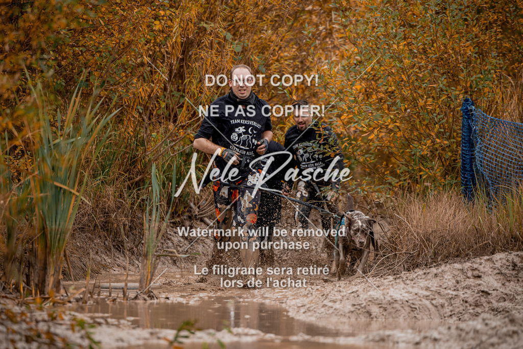 nelerasche_Creepy2025_Sa12-13_128 | nelerasche