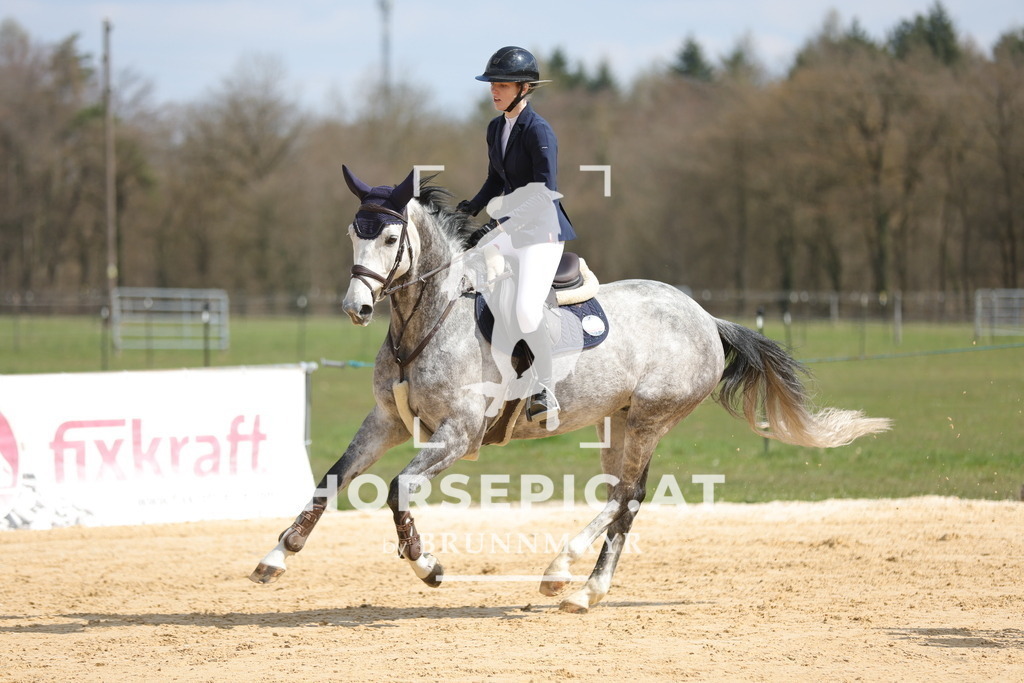 0P6A7606 | Willkommen bei Brunnmayr - Design & Fotografie – Ihrem Spezialisten für Reitturniere und Pferdeveranstaltungen in Oberösterreich, Salzburg und Bayern! Seit über 17 Jahren sind wir leidenschaftlich dabei.