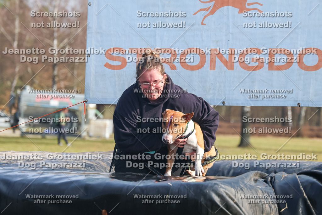 Dog Paparazzi - Strongdog North Mrz26-1965 | Dog Paparazzi Jeanette Grottendiek Fotografie & Videografie - Realisiert mit Pictrs.com