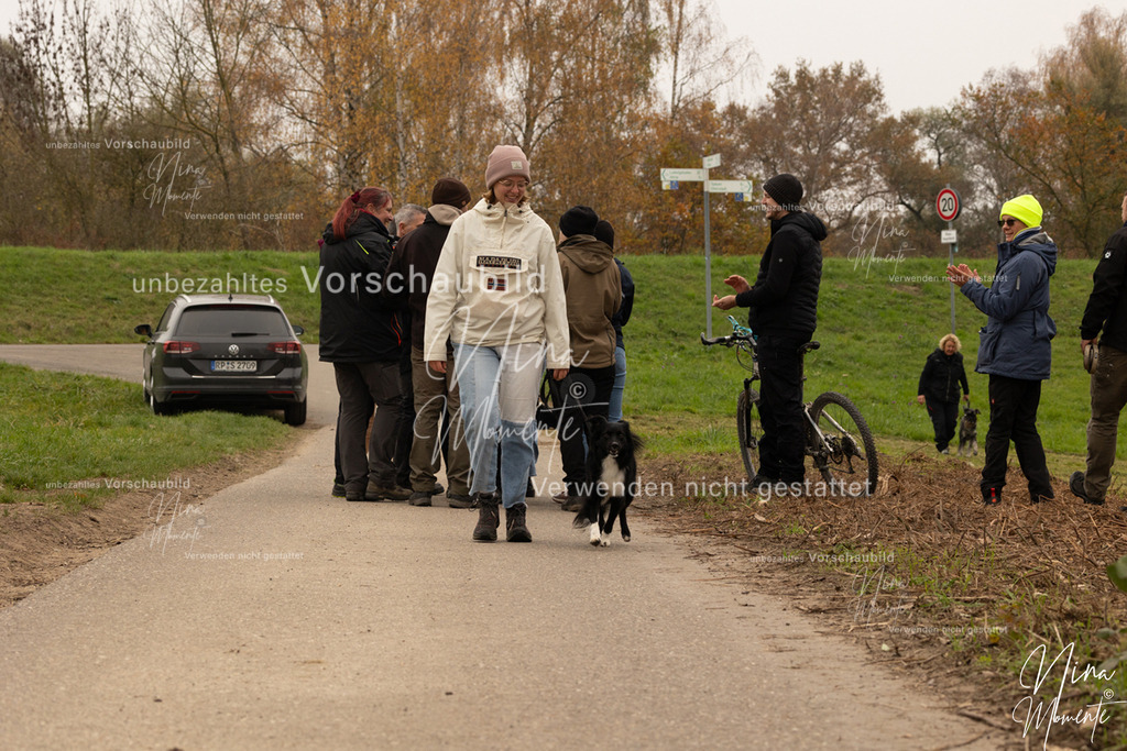 _16A0867 | Einzigartige Fotos von Hunden & Menschen –Actionfotos, Portraits, Vereinsaufnahmen & Paarshootings – authentisch, lebendig & mit Herz.