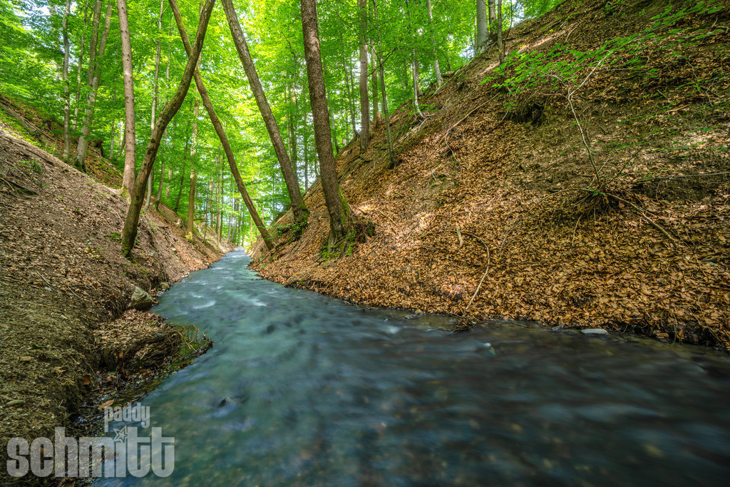 PS-Natur-2026-102 | Entdecke die größte Bildgalerie der Region mit Fotografien aus dem Allgäu, der Bodenseeregion, Oberschwaben, dem Donautal und der Schwäbischen Alb. Landschaften, Luftaufnahmen und Reisefotografie als Wandbild und Fotokunst. - Realisiert mit Pictrs.com