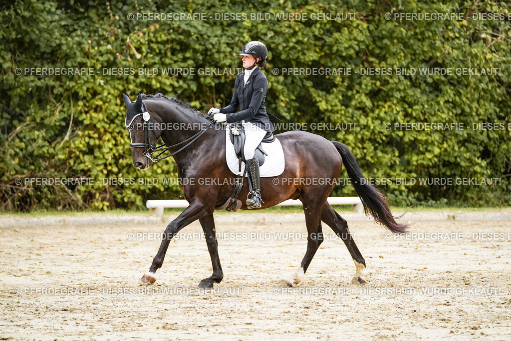 DSC04015 | Pferdegrafie