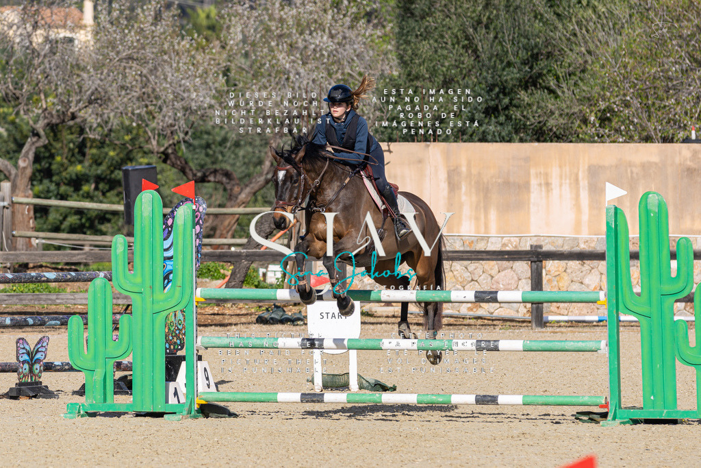 IMG_5670 | s-jay-photography - Realisiert mit Pictrs.com