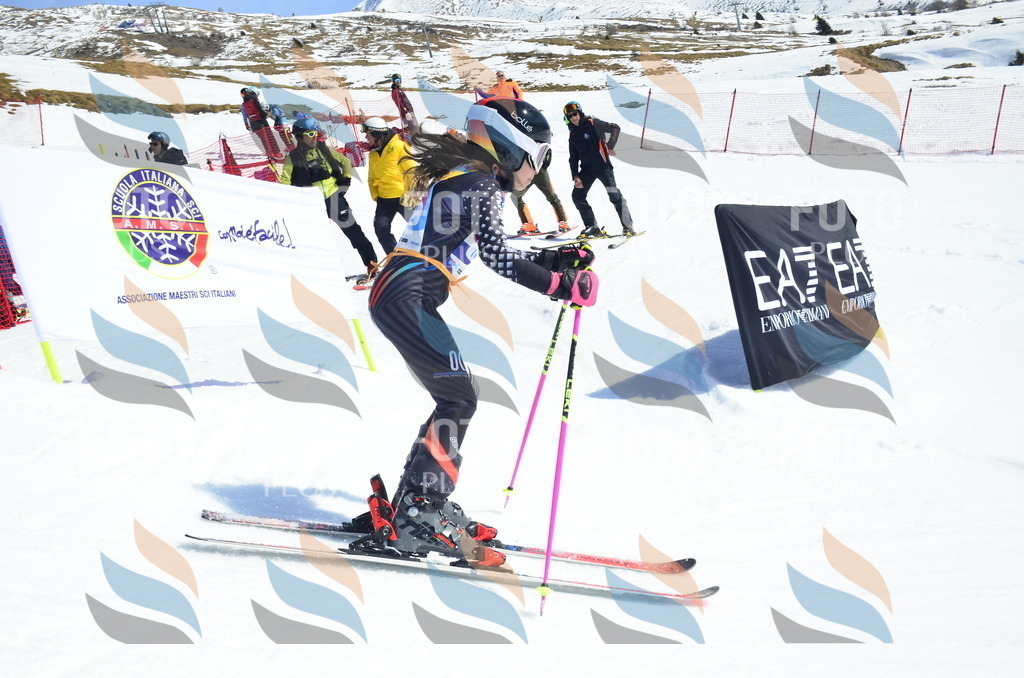 _ELE1014 | holidayphoto