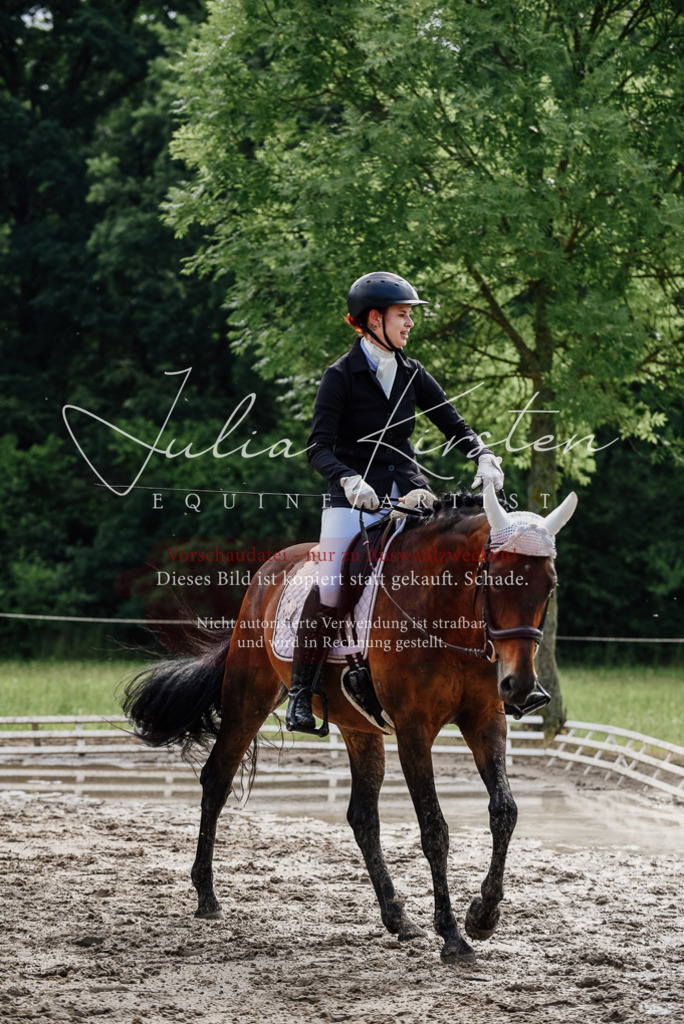 DSC_9880 | Pferde- und Turnierfotografie in Westsachsen. Pferdeportraits, Auftragszeichnungen und intuitive Kunst.