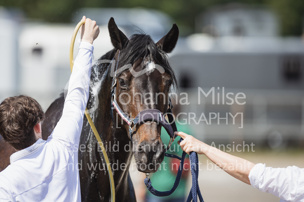 230625_PfSpTa_M1-Stil_Impressionen-575 | Deine schönsten Turniermomente als professionelle Fotos! Entdecke hochwertige Pferdesport-Fotografie im Online-Shop. Jetzt Fotos finden & bestellen!