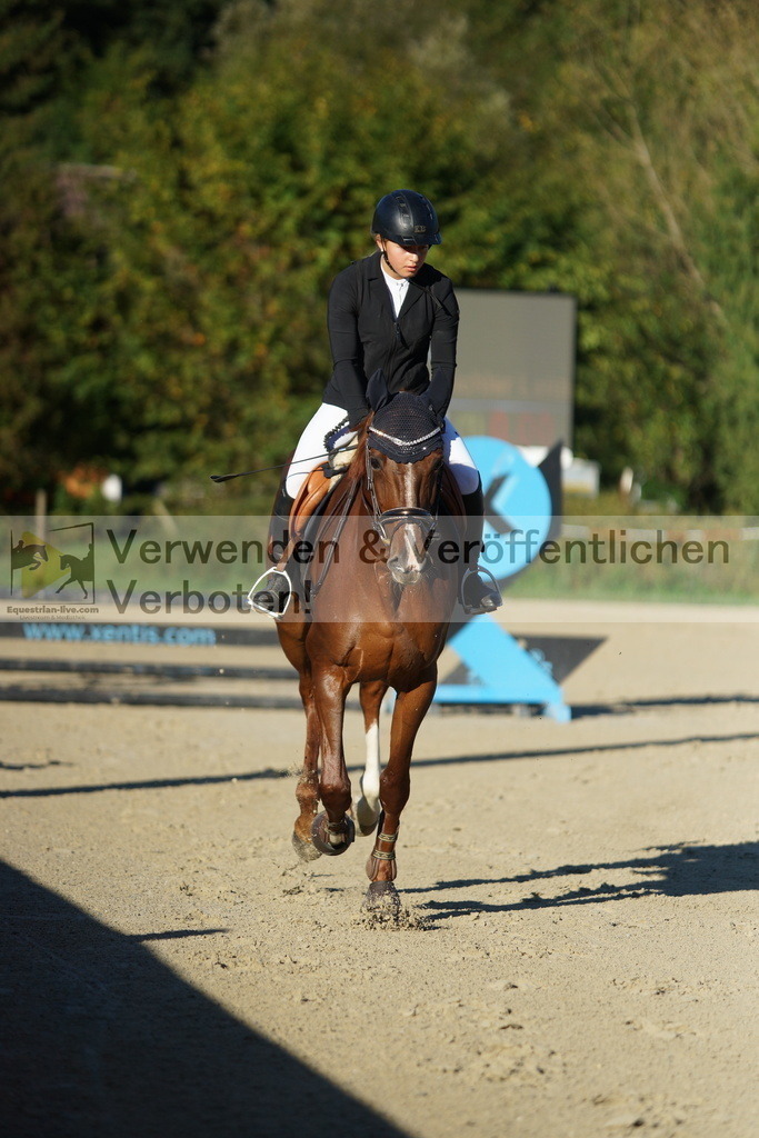 DSC08087 | equestrian-live-com