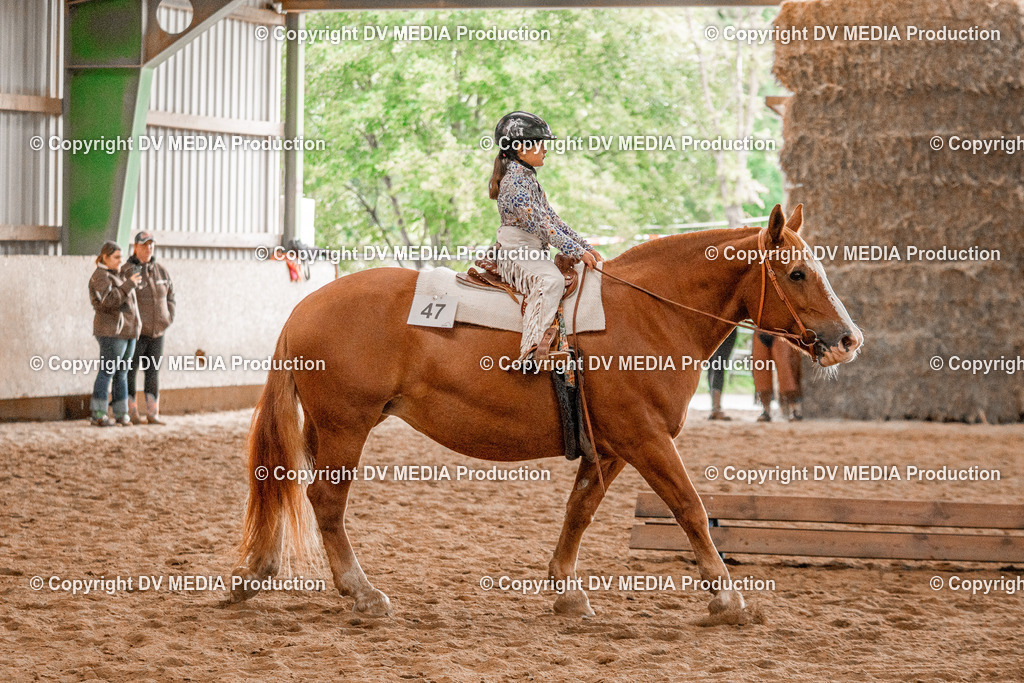Balingen Tag 3-483 | dv-media-shop - Realisiert mit Pictrs.com