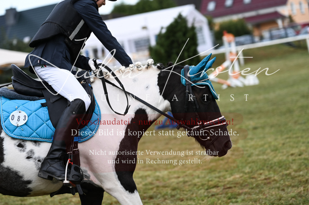 DSC_5480-2 | Pferde- und Turnierfotografie in Westsachsen. Pferdeportraits, Auftragszeichnungen und intuitive Kunst.
