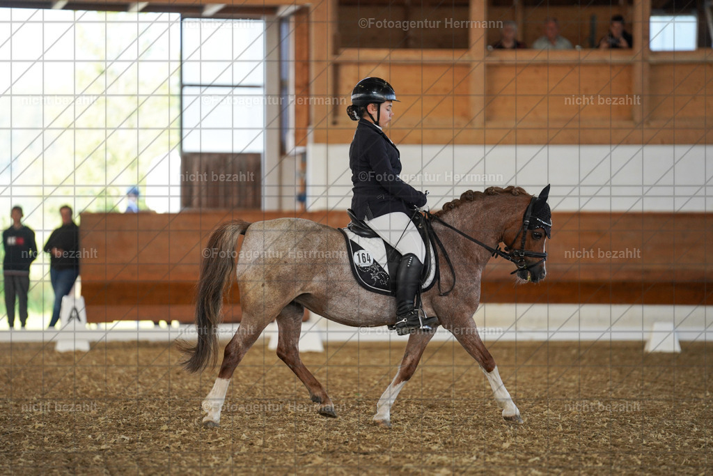 20240824-FAH07011 | Thierhaupten 2024, Bayerisches Landesponyturnier, Turnierbilder, Ponybilder, Turnierfotografen Bayern, Fotoagentur Herrmann
