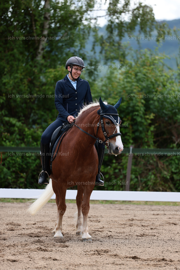 KlasseE_Stoibphotography_CAM21761.JPG | working equitationturnier fotograf videograf stoibphotography marixx film working equitation deutschland reitsport turnierfotografie eventfotografie equestrian events