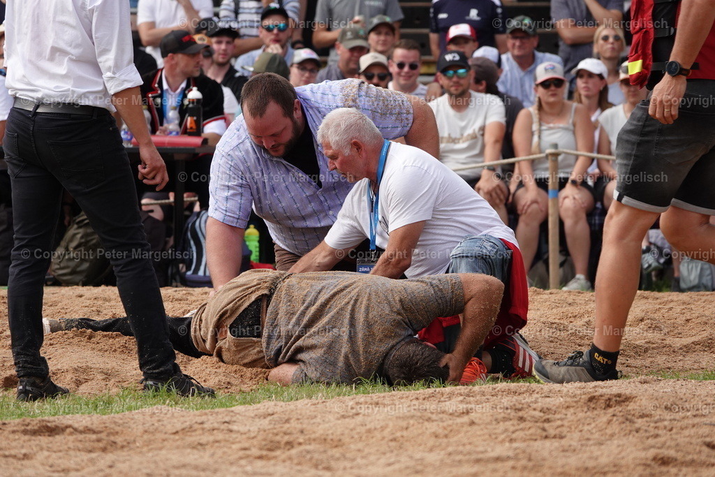 DSC01215 | Schwingen - Realized with Pictrs.com