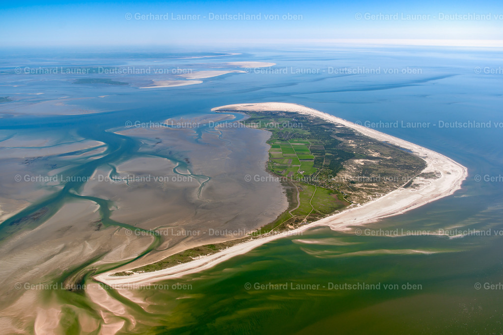 3801719 | Amrum, Nationalpark Schleswig-Holsteinisches Wattenmeer