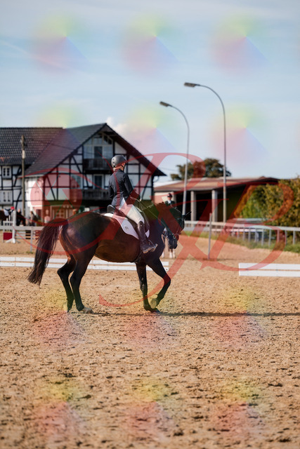 2026_10_03_Siefer-Hof_133511_Z63_94493673 | Professionelle Reitsport-, Turnier- und Eventfotografie von Robert Broda. Galerien mit ausgewählten und bearbeiteten Bildern direkt online ansehen und bestellen.