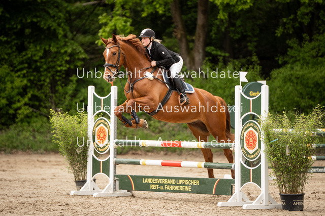 Bad_Meinberg_00292 | saradresslerfotografie - Realisiert mit Pictrs.com