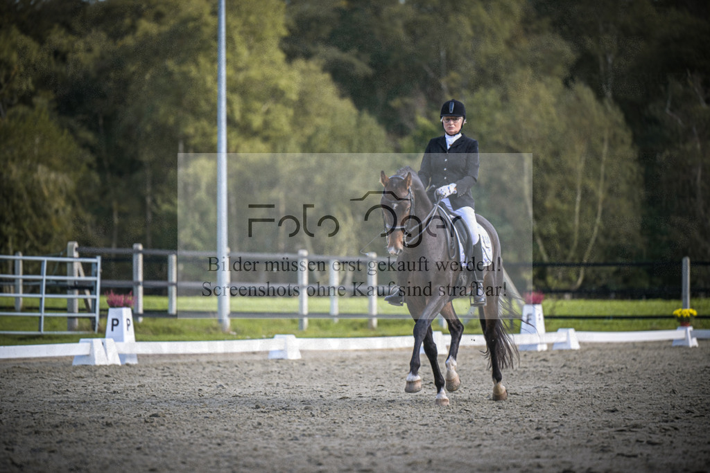 DOS_3885 | Entdecke hochwertige Reitturnierfotos von Foto Oger. Professionell, emotional und authentisch – jetzt Lieblingsmomente im Shop bestellen.Deutschlandweite Turnierfotografie. - Realisiert mit Pictrs.com