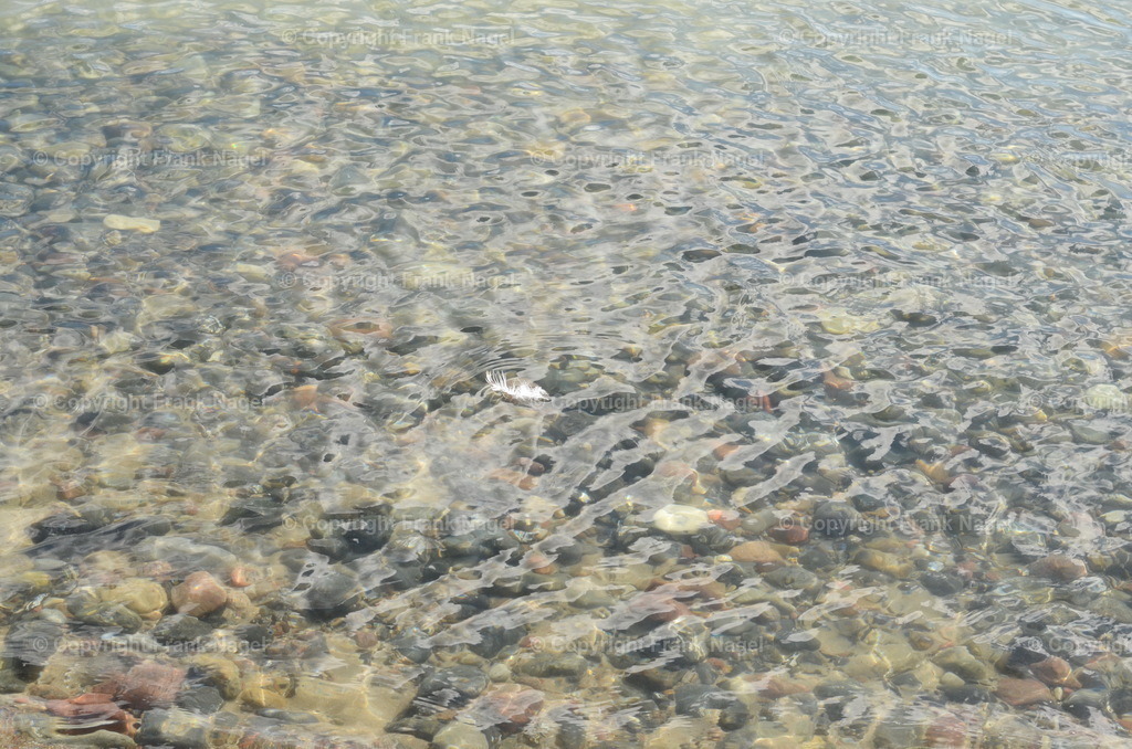 Feder auf Wasser | Eine Vogelfeder schwimmt auf dem Wasser - Realisiert mit Pictrs.com