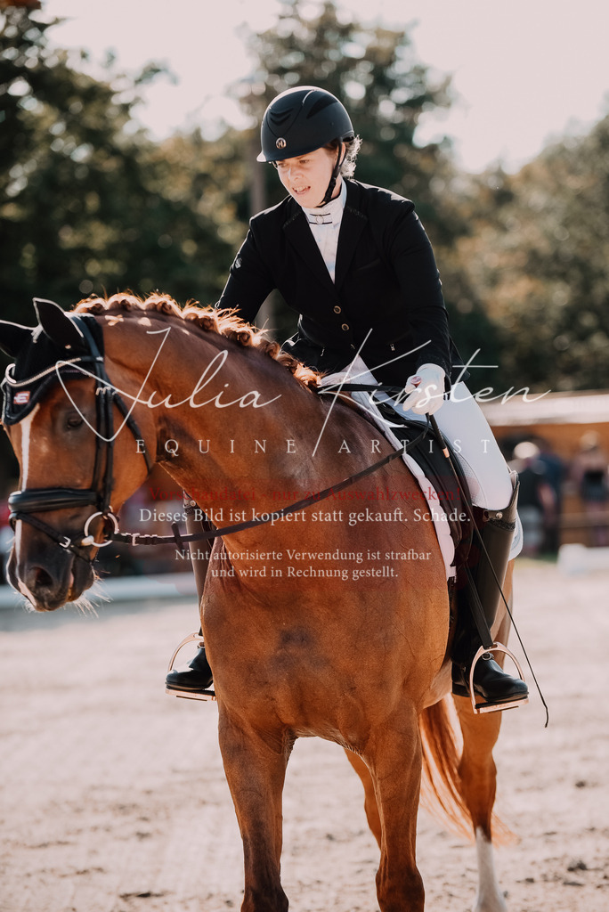 DSC_0460 | Pferde- und Turnierfotografie in Westsachsen. Pferdeportraits, Auftragszeichnungen und intuitive Kunst.