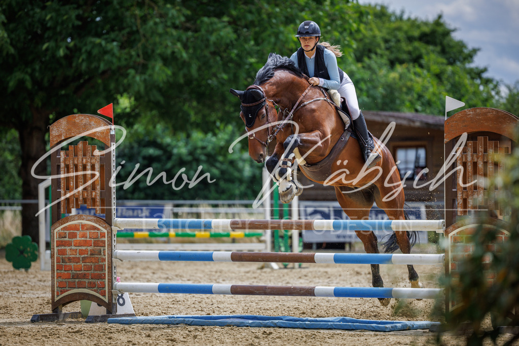 20260705-_3LI6111 | Tierfotografie Pferde, Hunde, Katzen, Haustiere.
Turnierfotografie Reitturniere, Reiten, Springreiten, Dressur in Hanau, dem Main-Kinzig-Kreis und dem Rhein-Main- Gebiet um Frankfurt